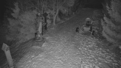 Bílá - běžecká trať