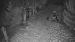 Bílá - běžecká trať