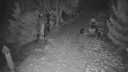 Bílá - běžecká trať