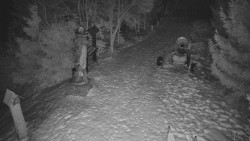 Bílá - běžecká trať