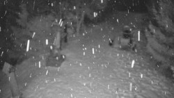 Bílá - běžecká trať