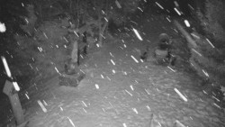 Bílá - běžecká trať