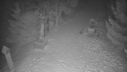 Bílá - běžecká trať