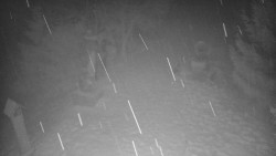 Bílá - běžecká trať