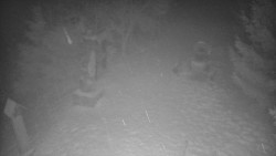 Bílá - běžecká trať