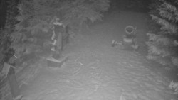 Bílá - běžecká trať