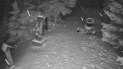 Bílá - běžecká trať