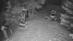 Bílá - běžecká trať