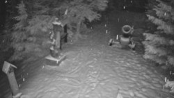 Bílá - běžecká trať