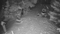 Bílá - běžecká trať