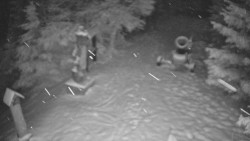 Bílá - běžecká trať