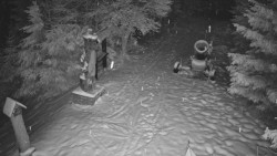 Bílá - běžecká trať