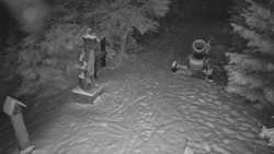 Bílá - běžecká trať