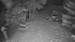 Bílá - běžecká trať