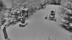 Bílá - běžecká trať