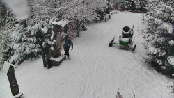 Bílá - běžecká trať