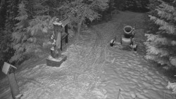 Bílá - běžecká trať