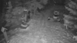 Bílá - běžecká trať