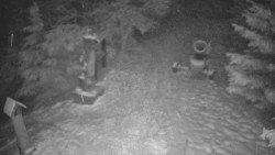 Bílá - běžecká trať