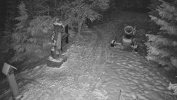 Bílá - běžecká trať