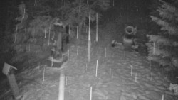 Bílá - běžecká trať