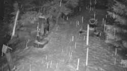 Bílá - běžecká trať