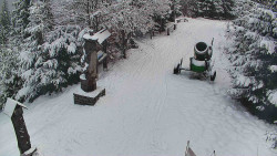 Bílá - běžecká trať