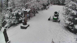 Bílá - běžecká trať