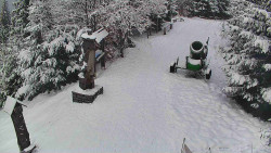 Bílá - běžecká trať