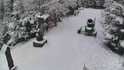 Bílá - běžecká trať