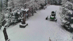 Bílá - běžecká trať