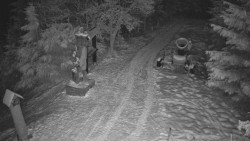 Bílá - běžecká trať