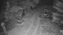 Bílá - běžecká trať