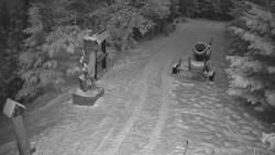 Bílá - běžecká trať