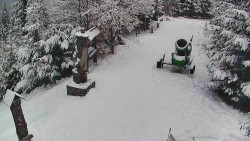 Bílá - běžecká trať