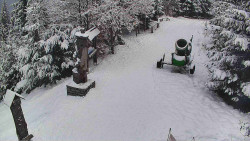 Bílá - běžecká trať