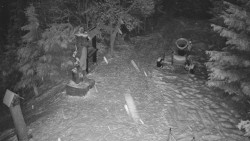 Bílá - běžecká trať