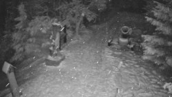 Bílá - běžecká trať