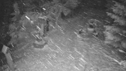 Bílá - běžecká trať