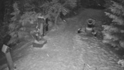 Bílá - běžecká trať