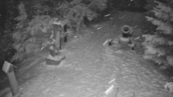 Bílá - běžecká trať