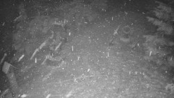 Bílá - běžecká trať