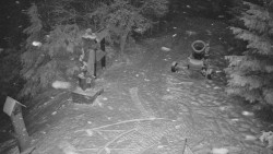 Bílá - běžecká trať