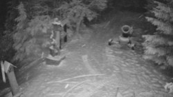 Bílá - běžecká trať