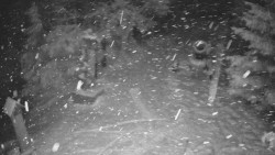 Bílá - běžecká trať