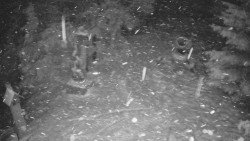 Bílá - běžecká trať