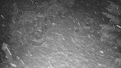 Bílá - běžecká trať