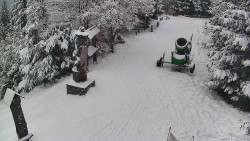 Bílá - běžecká trať