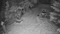 Bílá - běžecká trať