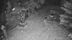 Bílá - běžecká trať